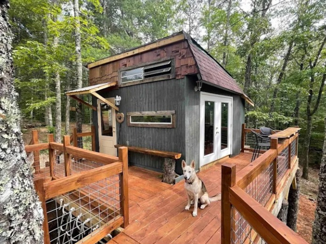 Say what: A 9-year-old who designed and co-funded an Airbnb treehouse