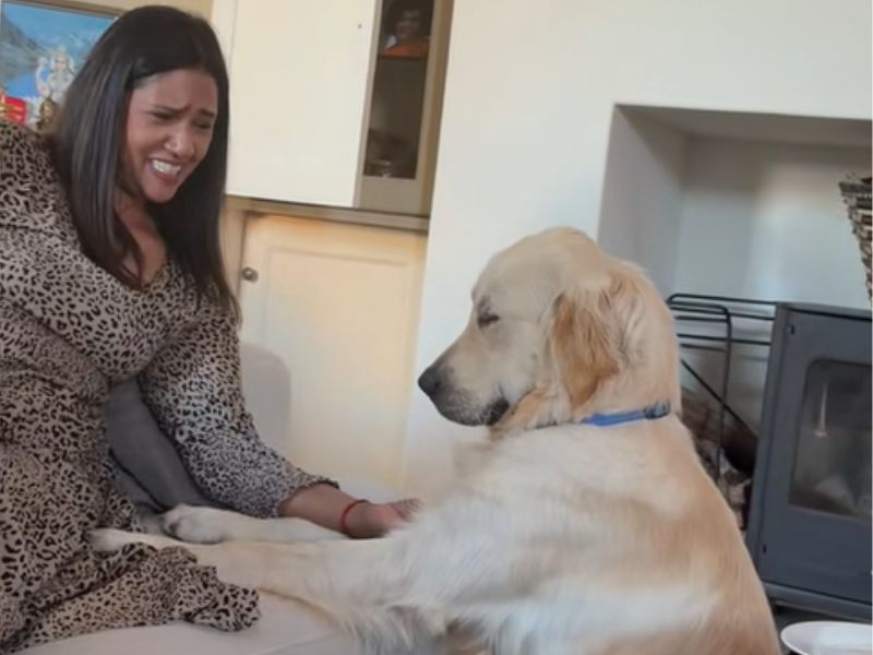 A pet mother smiles as she looks at her golden retriever praying
