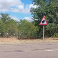 A road sign somewhere in Africa that shows an elephant