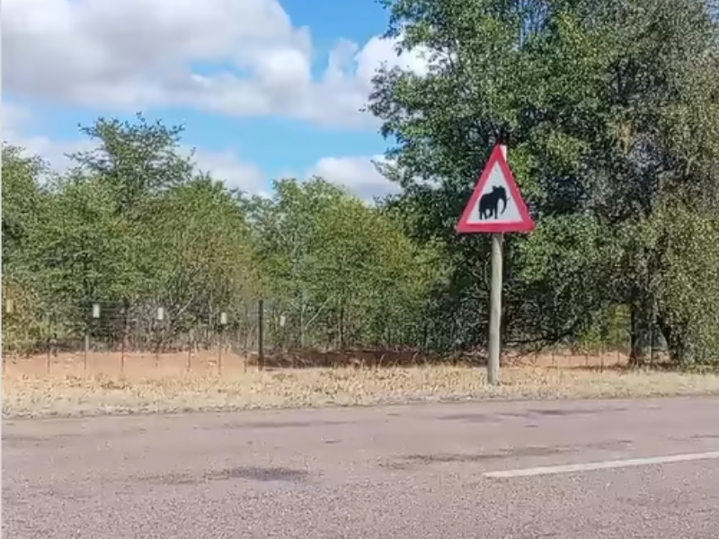 A road sign somewhere in Africa that shows an elephant