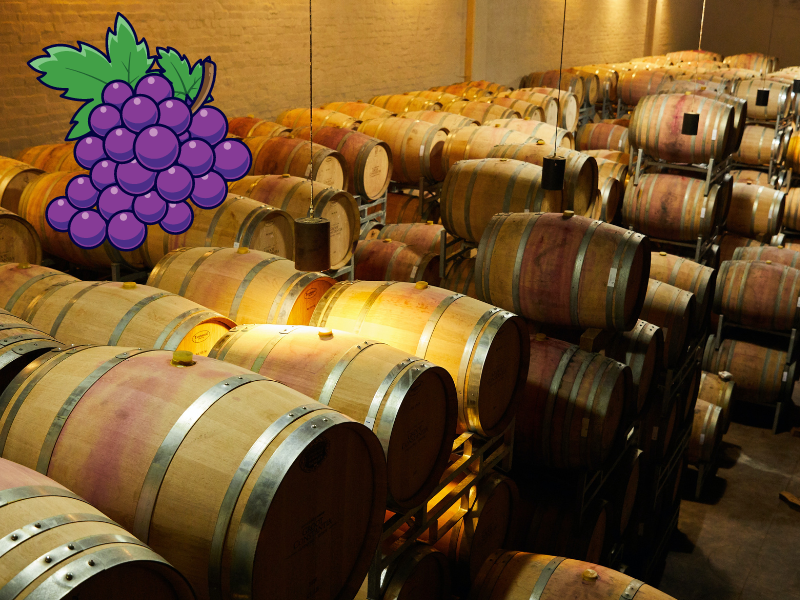 A room filled with wine barrels