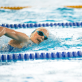 A swimmer swimming freestyle in a pool