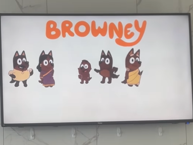 A television screen showing a knock off of Bluey called Browney