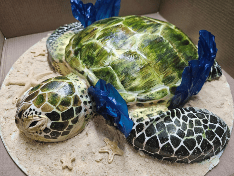 A turtle cake made by Mamma Miahs