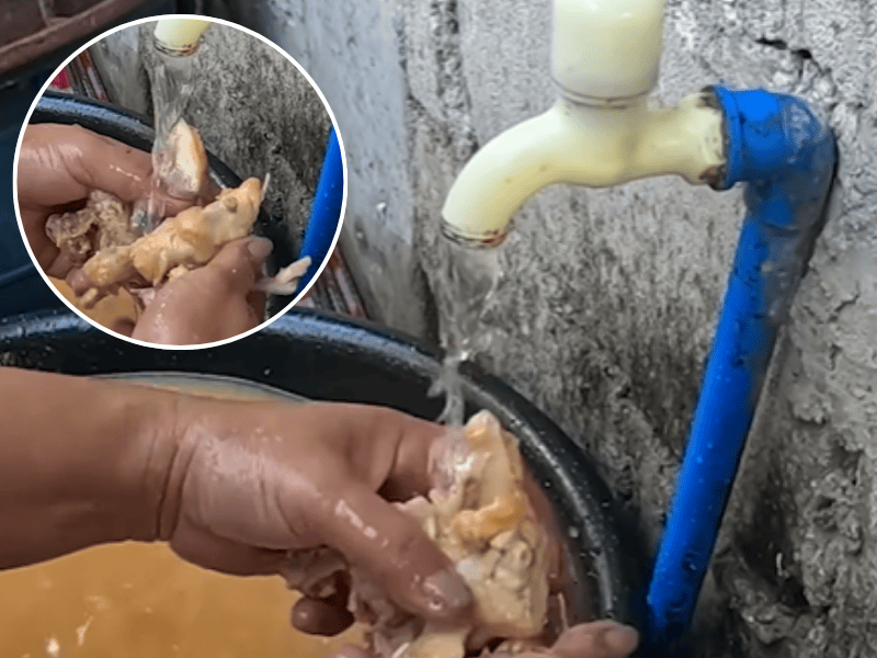 A woman cleans leftover chicken she rummaged from the garbage under a tap