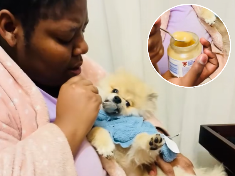 A woman feeds her dog baby food out of a jar