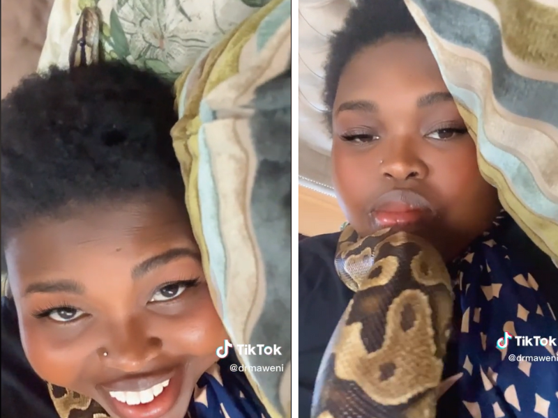 A woman in bed with a large python coiled around her neck