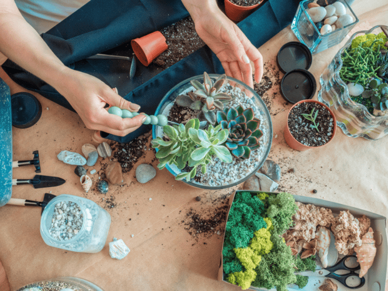 A woman planting succulent plants in a terrarium