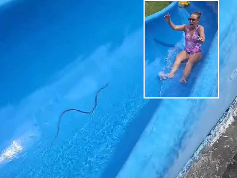 A woman sliding down a water slide sees a snake