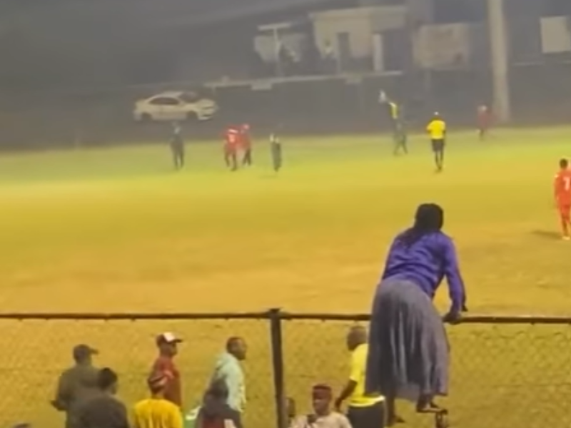 A woman stands at the top of a fence cheering for players at a soccer game