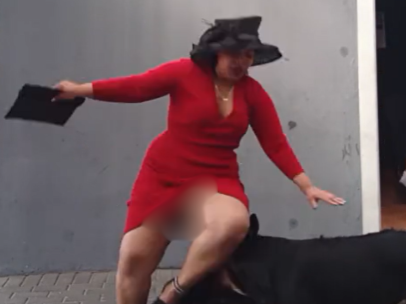 A woman wearing a red dress trips over her child and pet