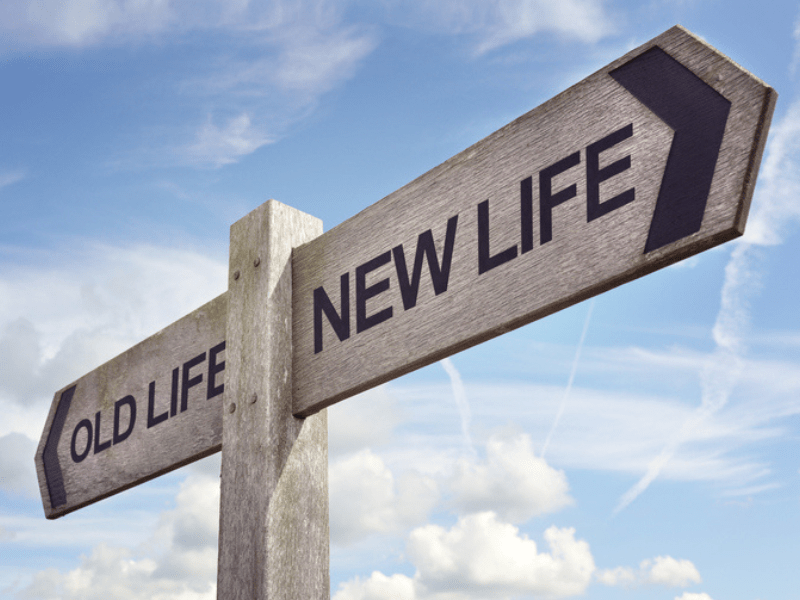 Wooden signpost with two directional arrows pointing to 'old life' and 'new life'