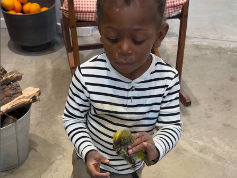 A young boy holds a dead bird in his hands