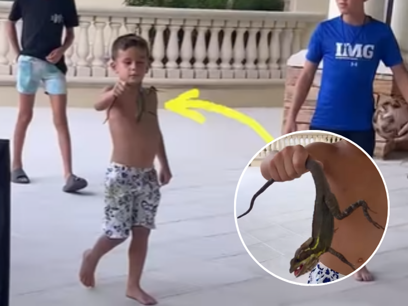 Boy mom shares moment her son brought a lizard to lunch