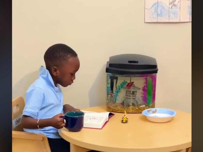 A young boy sits at his table reading and drinking tea