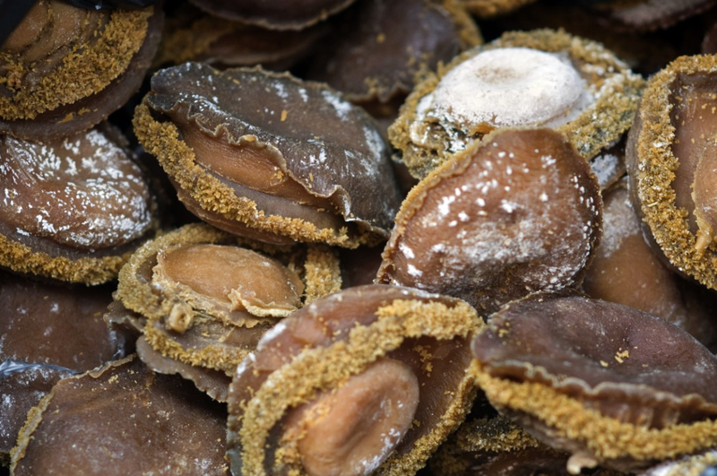 SA police arrest man with 27 bags of poached abalone