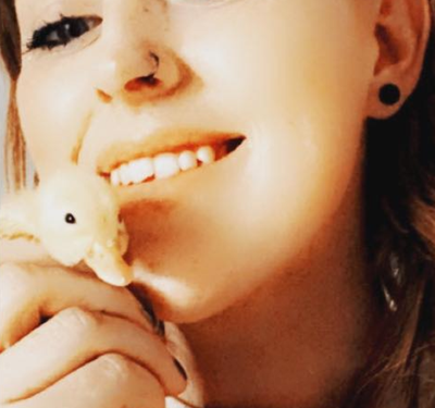 WEIRD! Woman hatches duckling from supermarket eggs - Vimarsana News