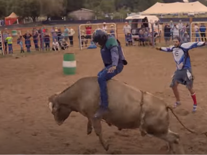 African Bull Rider: