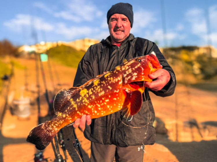 Alan Fielding with a massive Rockcod