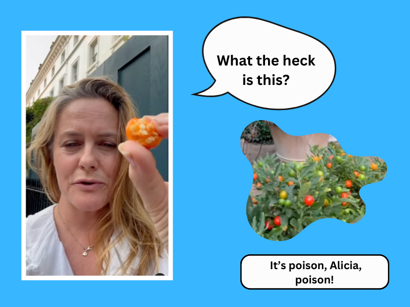 Alicia Silverstone holding a Jerusalem Cherry