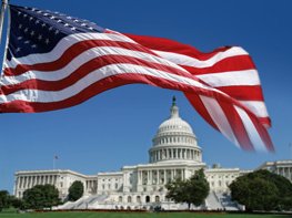 American-Flag-Government-Pa_1.jpg
