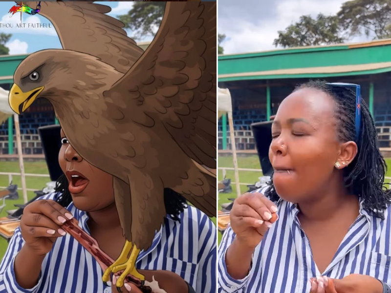 An animated meme of a hawk stealing a piece of meat from a woman