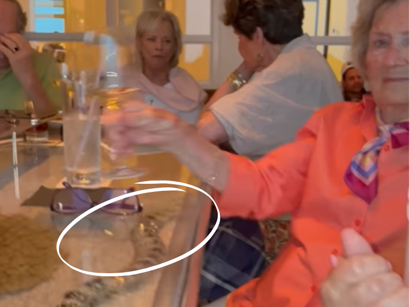 An elderly woman picks her glass of wine up from a bar top with an eel inside