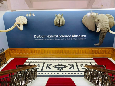 Natural Science Museum volunteer programme for 2026 is open