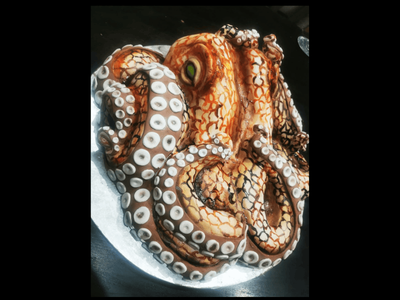 An octopus cake made by Mamma Miahs