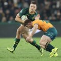 Springbok centre Andre Esterhuizen against the Wallabies