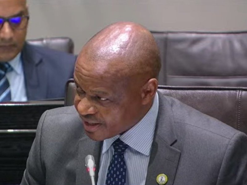Gen Mothibi