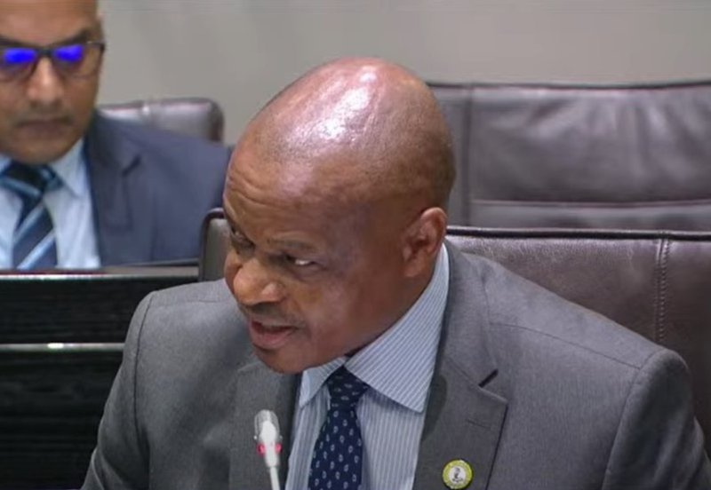 Gen Mothibi