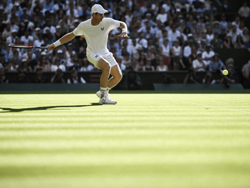 Andy Murray at Wimbledon