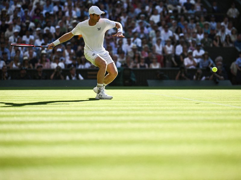Andy Murray at Wimbledon 2023