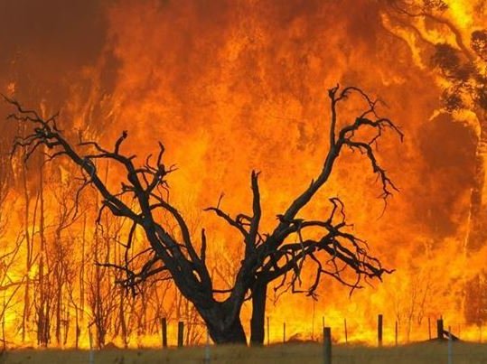 Australia fires 3