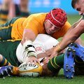 Australia's Harry Wilson (Top) scores a try against the Springboks in Perth