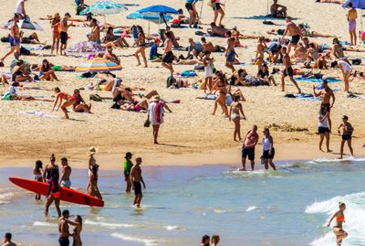 Australian surfer punches shark to save wife