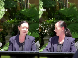 WATCH: A Huntsman Spider interrupts a COVID update briefing by the Health Minister