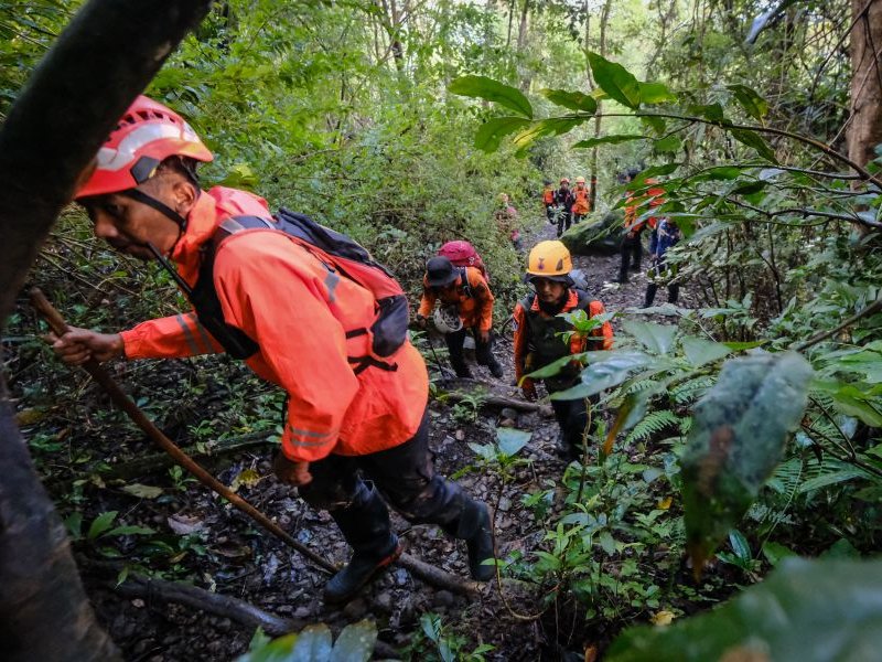 Aviation accident search
