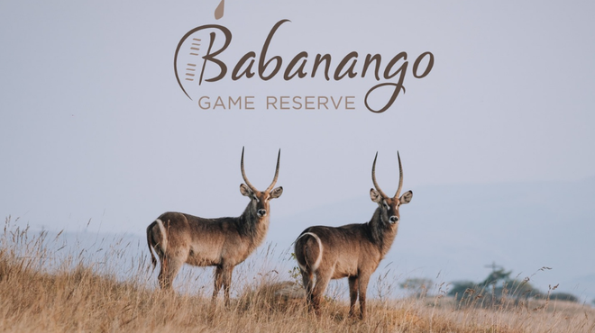 Babanango Game Reserve