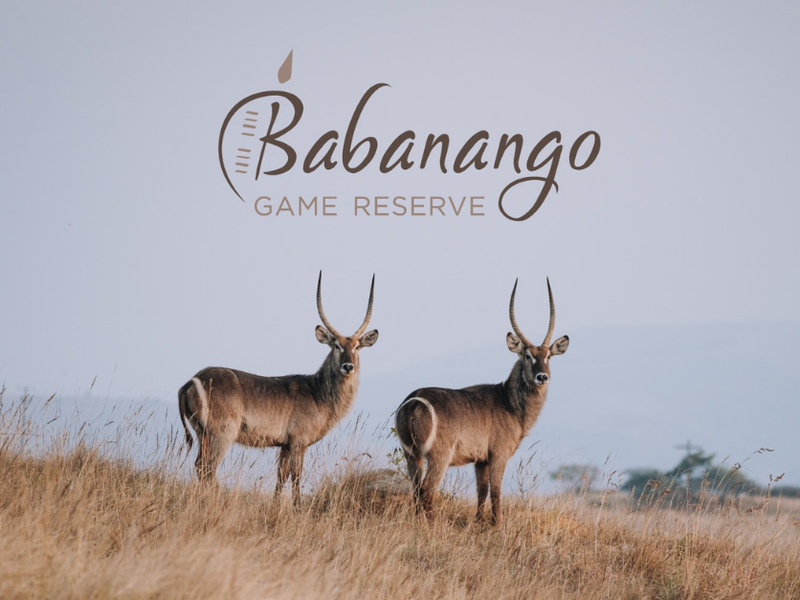 Babanango Game Reserve