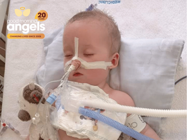 BABY THEUNSIE SMALL COVER IMAGE