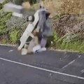 BAKKIE PLUMMETS DOWN MISTY CLIFF