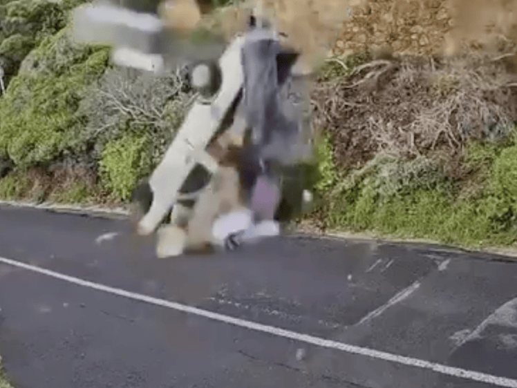 BAKKIE PLUMMETS DOWN MISTY CLIFF