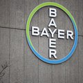 This file photo taken on March 20, 2019 shows the logo of German chemicals and pharmaceuticals giant Bayer on a wall at the group's coumpound in Berlin. German chemical and pharmaceutical giant Bayer announced agreements to resolve major legacy Monsanto l