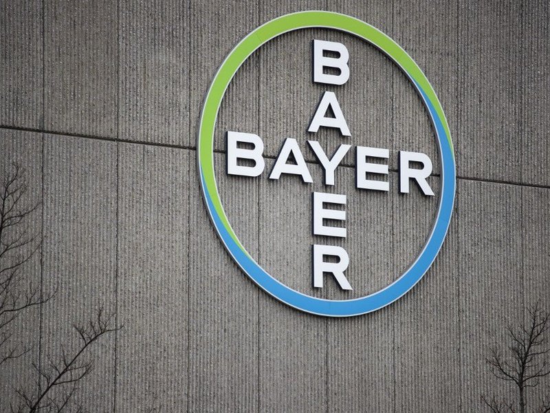 This file photo taken on March 20, 2019 shows the logo of German chemicals and pharmaceuticals giant Bayer on a wall at the group's coumpound in Berlin. German chemical and pharmaceutical giant Bayer announced agreements to resolve major legacy Monsanto l