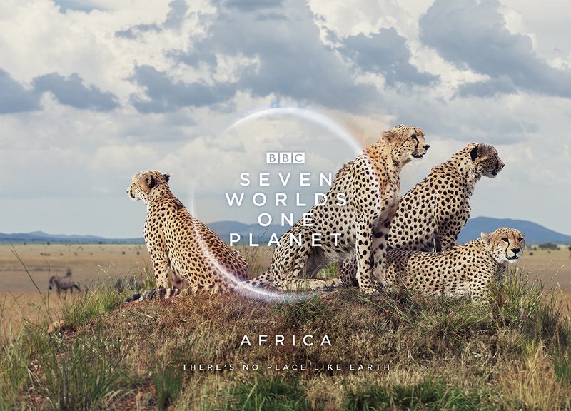 BBC Earth - Africa