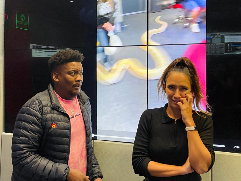 Snakes in the studio! Stacey and J Sbu react to DKS on a snakescapade