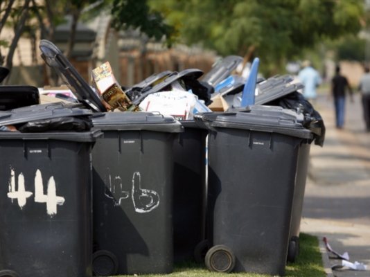 BIN.jpg