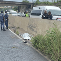 Man's dismembered body found on KwaMashu Highway